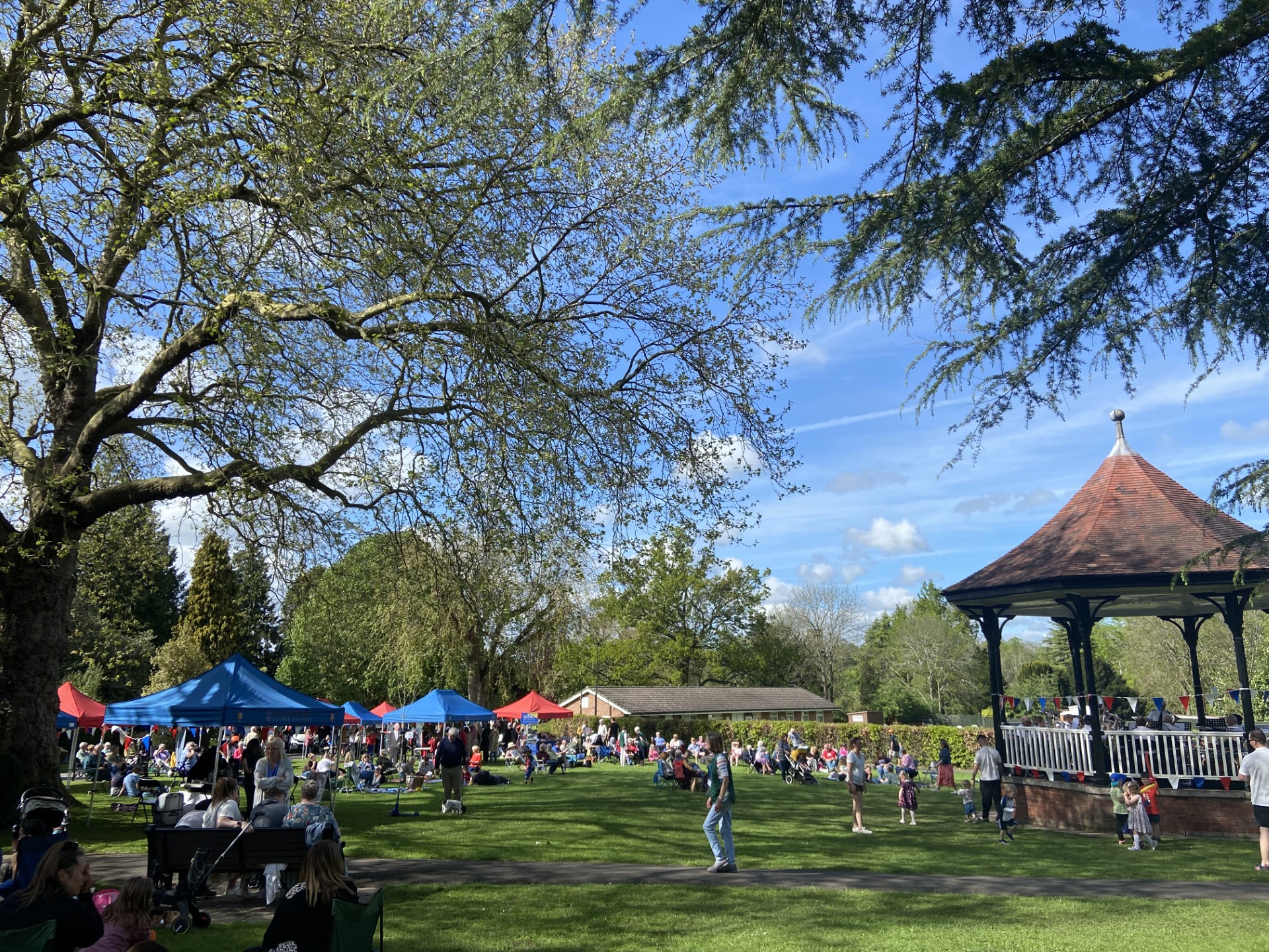 busy community event in a park