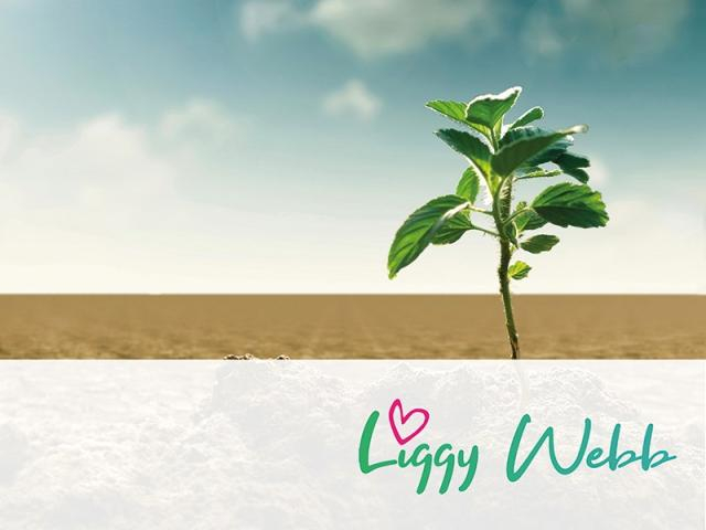 resiliance course thumbnail